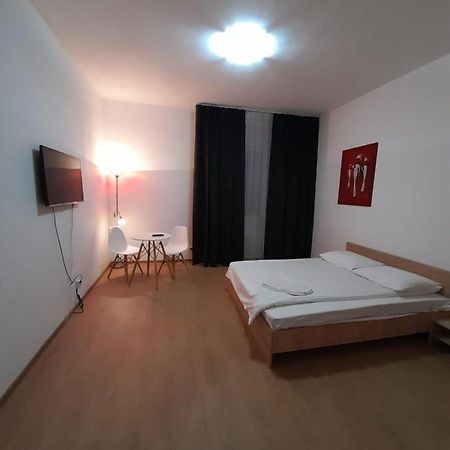 Piata Unirii- 1 Room Studio Apartment Timişoara Eksteriør bilde