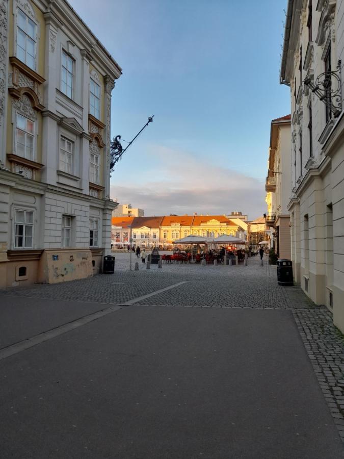 Piata Unirii- 1 Room Studio Apartment Timişoara Eksteriør bilde