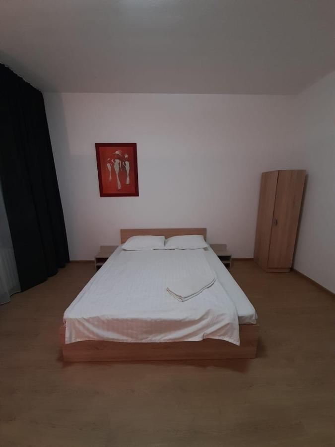 Piata Unirii- 1 Room Studio Apartment Timişoara Eksteriør bilde