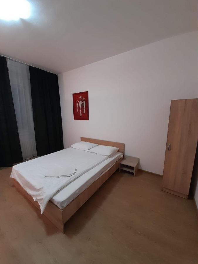 Piata Unirii- 1 Room Studio Apartment Timişoara Eksteriør bilde