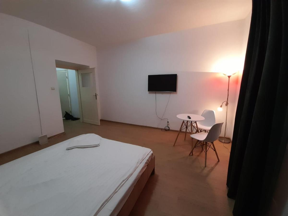 Piata Unirii- 1 Room Studio Apartment Timişoara Eksteriør bilde