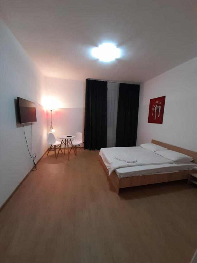 Piata Unirii- 1 Room Studio Apartment Timişoara Eksteriør bilde